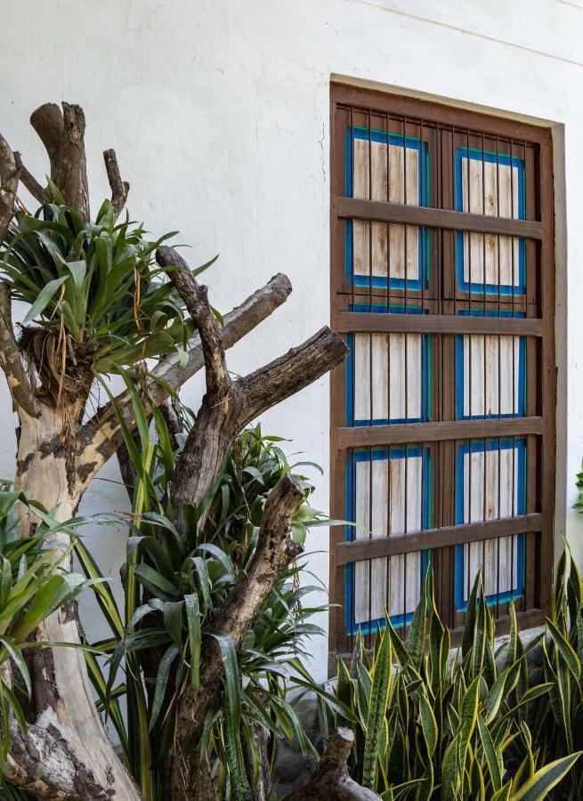 Casa Jacaranda Hotel Boutique - Cauca Viejo - Mayores De 14 Anos - 헤리코 외부 사진