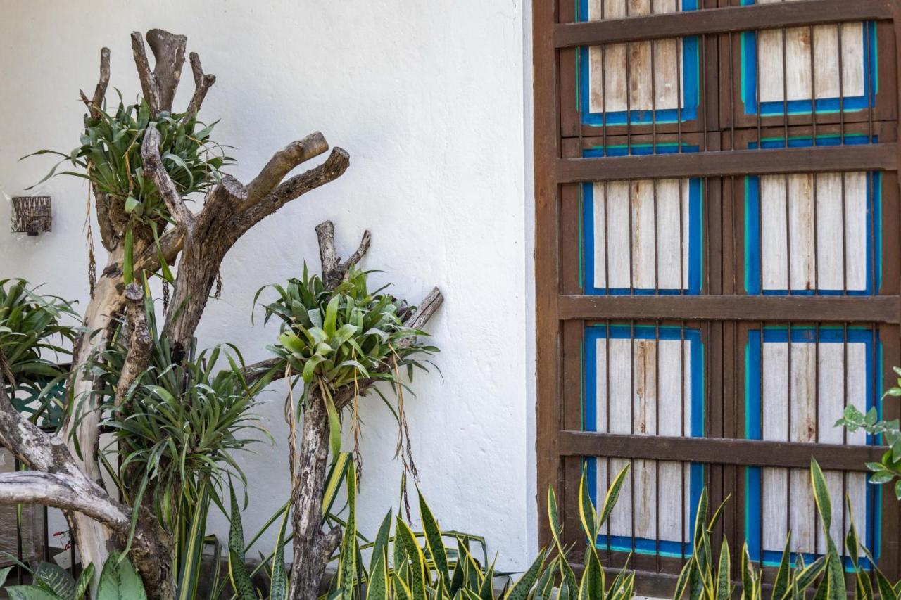 Casa Jacaranda Hotel Boutique - Cauca Viejo - Mayores De 14 Anos - 헤리코 외부 사진