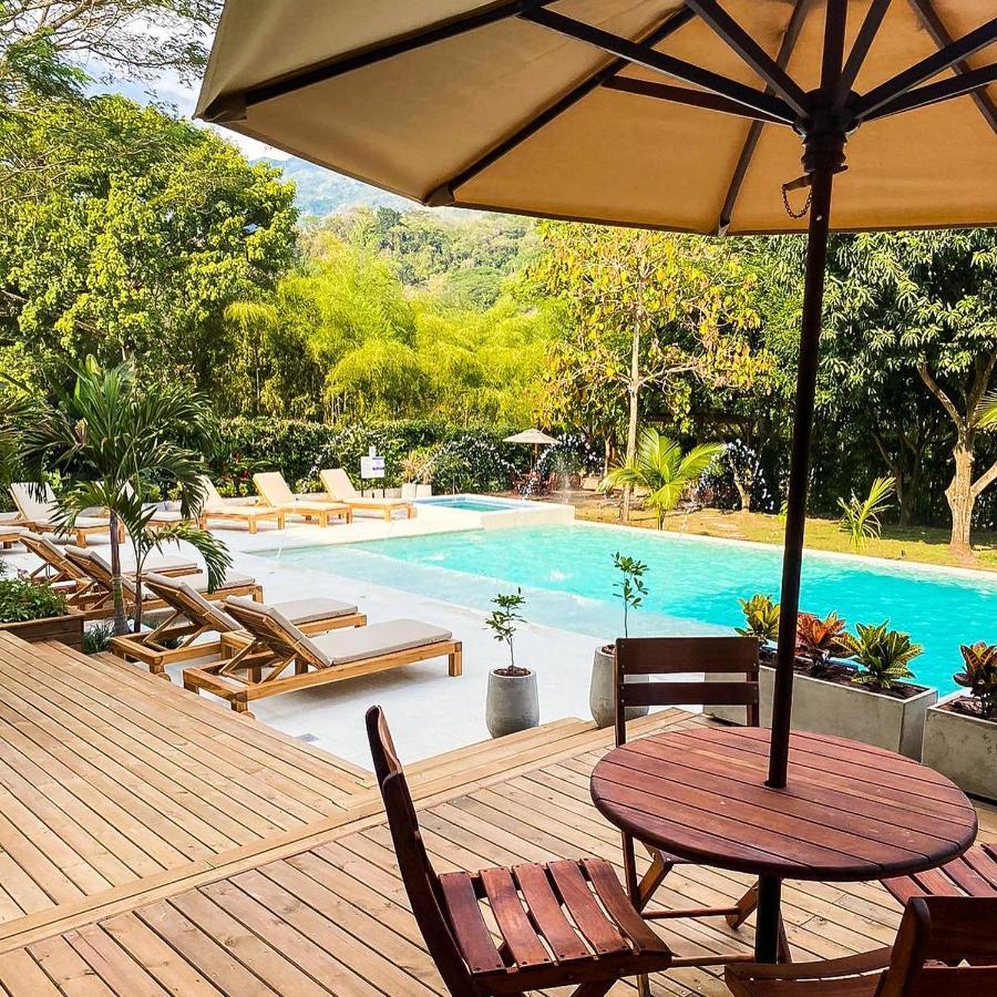 Casa Jacaranda Hotel Boutique - Cauca Viejo - Mayores De 14 Anos - 헤리코 외부 사진