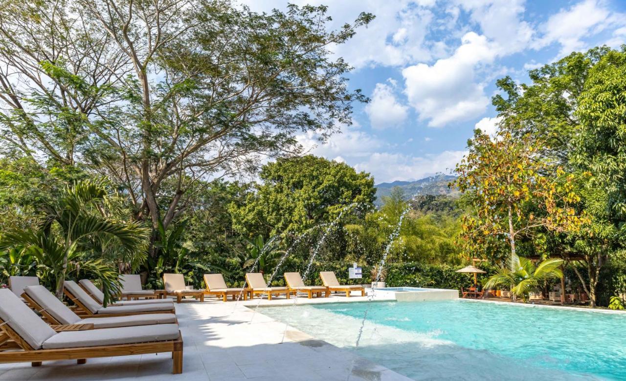 Casa Jacaranda Hotel Boutique - Cauca Viejo - Mayores De 14 Anos - 헤리코 외부 사진
